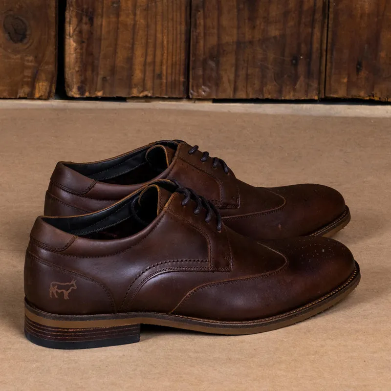 Kingsley Heath F Wingtip Brogue Choc/Choc